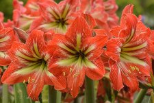 NEW_9533_webshot.jpg
