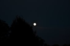7th Oct 2014 003.JPG