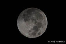 D71_1370.jpg