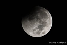 D71_1371.jpg