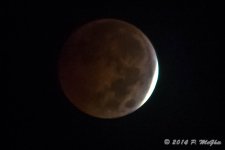 D71_1391.jpg