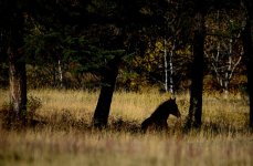 DSC_7058.jpg