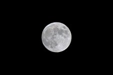 DSC_0017.jpg