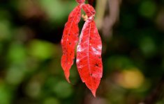 DSC_0105.jpg