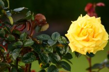 DSC_5079.jpg