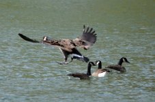DSC_0162.jpg