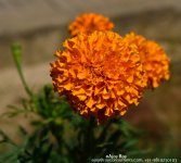 ESC_3410.jpg