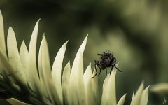 069-Edit.jpg
