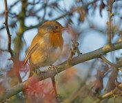 DSC_8863.jpg
