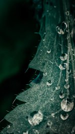 043-Edit-2-Edit.jpg