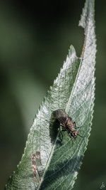 165-2-Edit.jpg