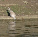 DSC_8997.jpg
