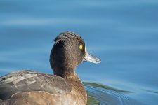 DSC_9022.jpg