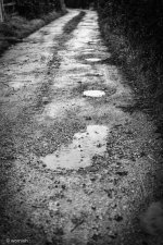 Country Lane.jpg