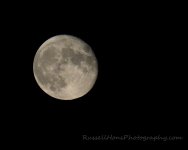 DSC_0776 -1.jpg