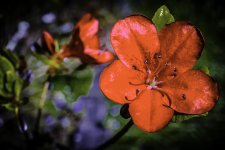 _DSC3578-Edit (1024x684).jpg