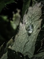 239-Edit.jpg