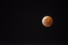 SHM_7889-5.jpg