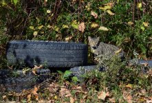 DSC_2551.jpg