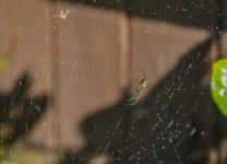 DSC_4625.jpg