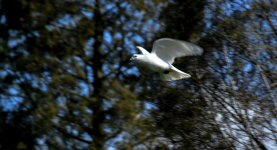 DSC_4510.jpg