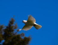 DSC_4511.jpg