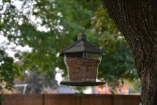 DSC_2576.jpg