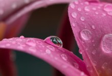 DSC_3806_PP.jpg