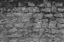DSC_0377.jpg