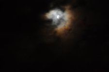 DSC_5108.jpg