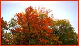 Autumn  Colors.jpg