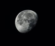 DSC_2692.jpg