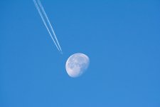 DSC_9190.jpg
