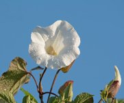 DSC_9167.jpg