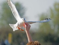DSC_9223.jpg