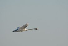DSC_9148.jpg