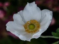376-Edit.jpg