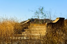 Hidden Doorway #9.jpg