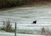 DSC_2598.jpg