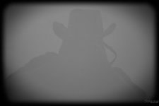 InFocus10.jpg