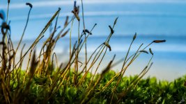 264-Edit-Edit.jpg 264-Edit-Edit.jpg