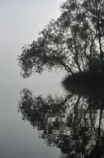 DSC_3228.jpg