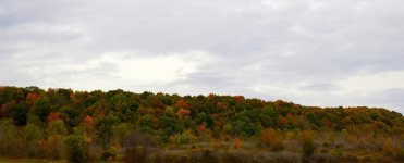 DSC_0199.jpg