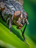 158-Edit-3.jpg