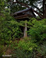 Shelter in the Wood.jpg