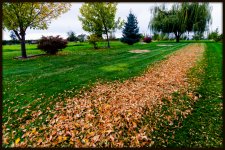 DSC_6175.jpg