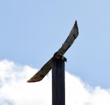 DSC_2659.jpg