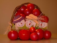 harvest-play.jpg