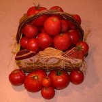 harvest3-play.jpg