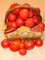 harvest4-play.jpg